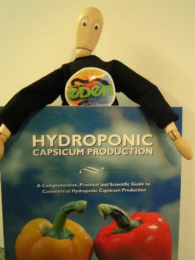 HYDROPONIC CAPSICUM PRODUCTION